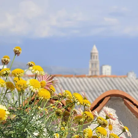 Pensionat With The And Sea View Split